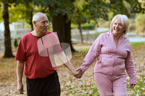 Image of Elderly couple strolling through the breathtaking beauty of nature, maintaining their vitality and serenity, embracing the joys of a health-conscious and harmonious lifestyle