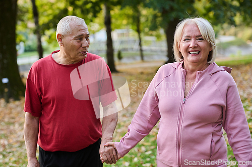Image of Elderly couple strolling through the breathtaking beauty of nature, maintaining their vitality and serenity, embracing the joys of a health-conscious and harmonious lifestyle