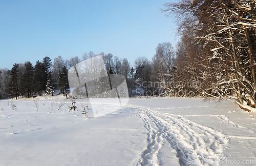Image of Vinter