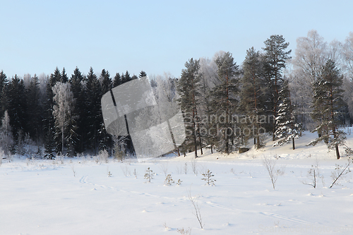 Image of Vinter