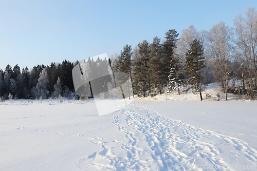 Image of Vinter
