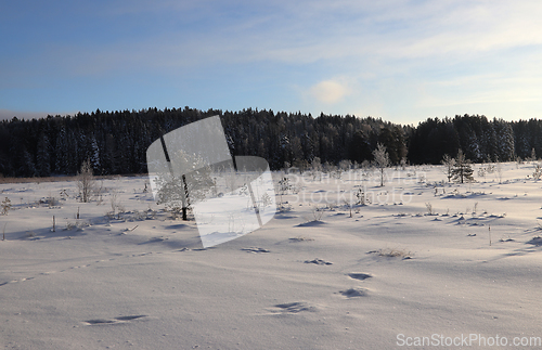 Image of Vinter