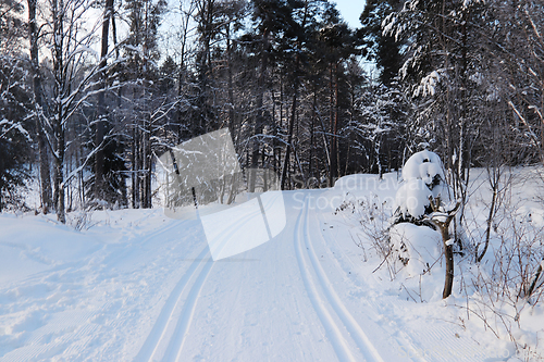 Image of Vinter