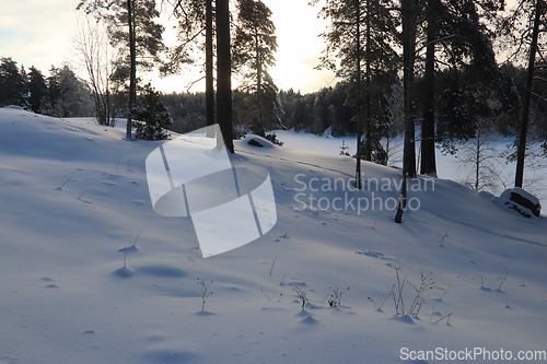 Image of Vinter