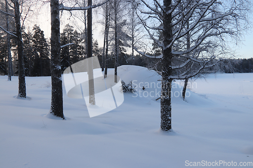 Image of Vinter