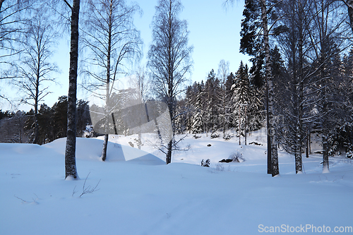 Image of Vinter