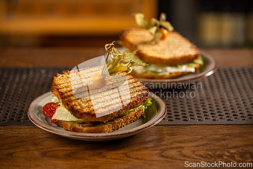 Image of Healthy grilled sandwich toast