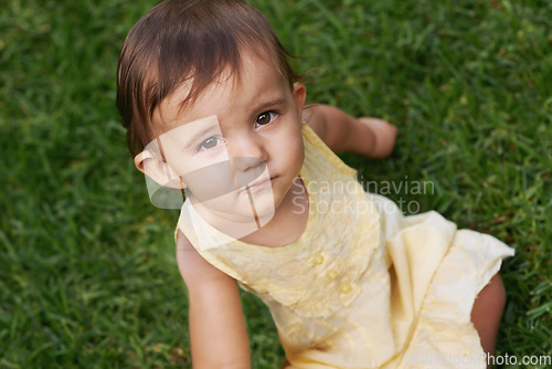 Image of Cute, grass and portrait of girl baby having fun and playing in backyard, park or garden. Nature, sweet and kid, infant or toddler sitting on the lawn for child development senses outdoor at home.