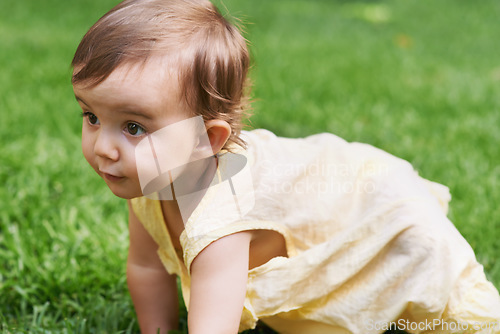 Image of Sweet, grass and girl baby crawling, having fun and playing in backyard, park or garden. Nature, cute and kid, infant or toddler sitting on the lawn for child development senses outdoor at home.