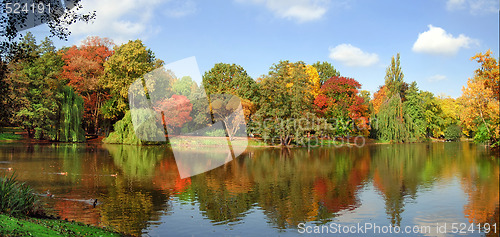 Image of Park over the lake