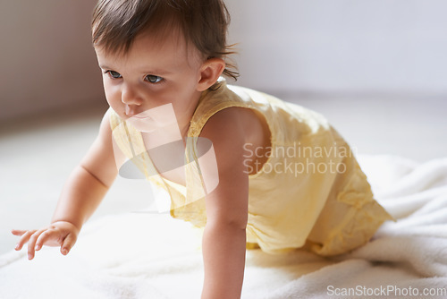 Image of Baby, crawling and playing on floor, child development and infant growth with happy coordination and home. Girl, learning and healthy in good mood, childhood or balance with arms, kid or adorable