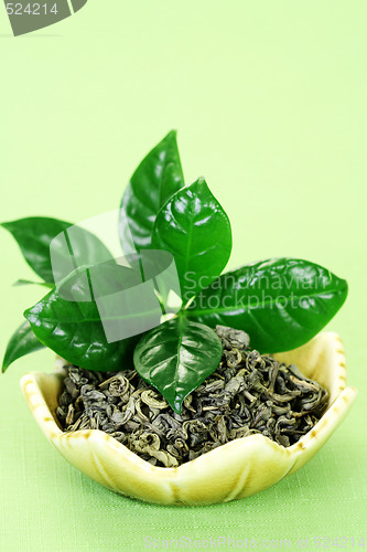 Image of green tea