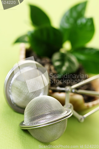 Image of green tea