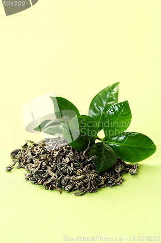 Image of green tea