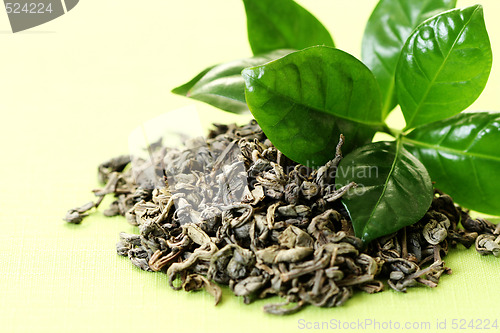 Image of green tea