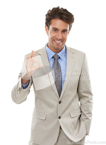 Image of Business man, portrait and ok hands in studio for vote, review and like feedback on white background. Happy worker show okay for success, agreement and thank you for support, yes emoji and excellence
