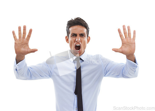 Image of Business man, portrait and screaming stop in studio, danger and frustrated by white background. Male professional, reject and block or rejection of failure, shouting and review or sign language