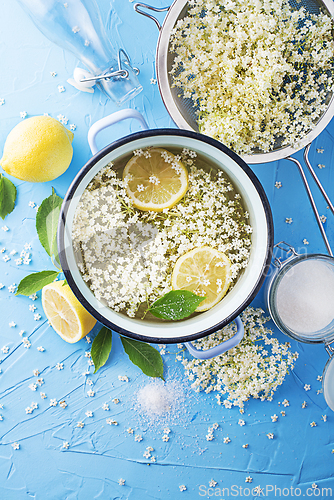 Image of Fermentation drink elder flowers