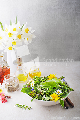 Image of Spring salad food plants