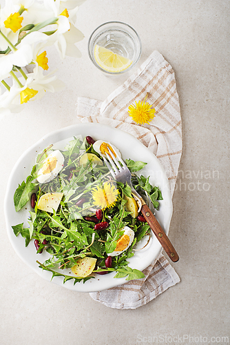 Image of Dandelion salad