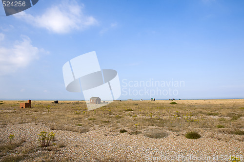 Image of Pebble beach