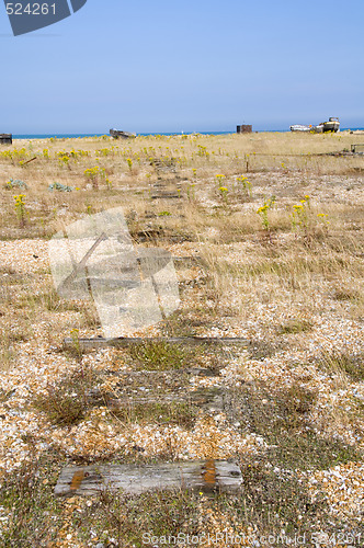 Image of Pebble beach