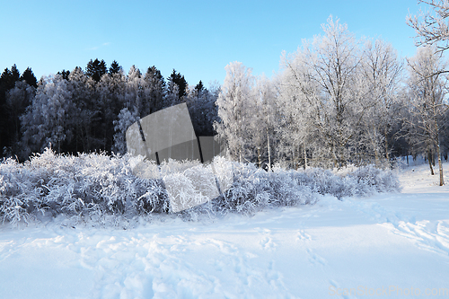 Image of Vinter