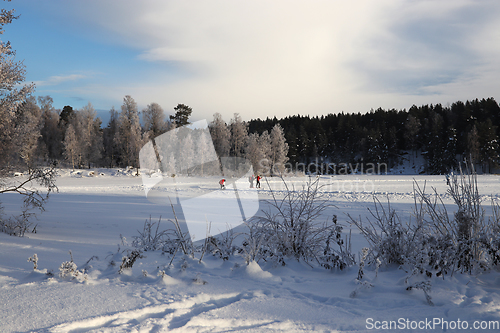 Image of Vinter