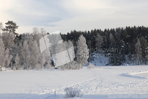 Image of Vinter