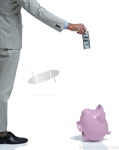 Image of Businessperson, finance and piggy bank for investing paper, income and studio by white background. Professional, paper and money box for future, planning and cash in container, savings and security