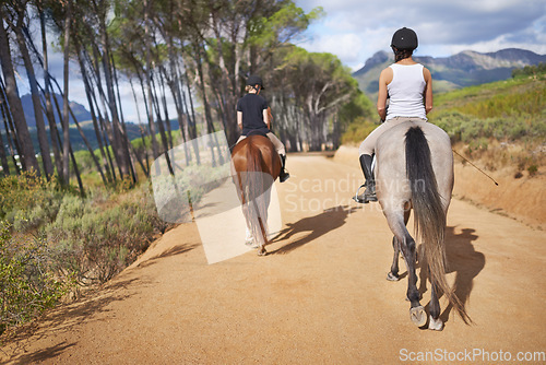 Image of People, horse and hobby for horseback riding in texas, rider and sport training in countryside. Farm, rural and nature in outdoor, adventure and animal on gravel, pet care and riders with back