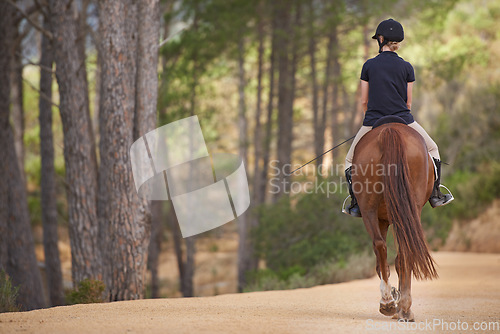 Image of Equestrian, riding and horse on trail in nature on adventure and journey in countryside mockup. Ranch, animal and back of rider outdoor with pet on path in forest or woods for hobby on farm in summer