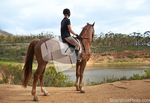 Image of Equestrian, woman and horse in nature for ride on adventure and journey in countryside. Ranch, animal and rider outdoor with hobby, sport or pet on farm trail with girl in summer at river with peace