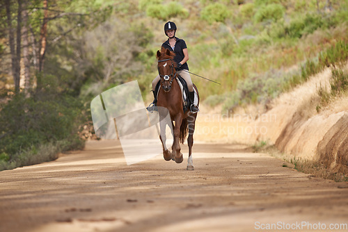 Image of Equestrian, trail and riding a horse in nature on adventure and journey in countryside. Ranch, animal and rider outdoor with pet on path in forest or woods for hobby on farm with girl in summer