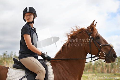 Image of Equestrian, riding and woman on horse in nature on adventure and journey in countryside. Ranch, animal and rider outdoor with hobby, sport or pet on farm trail with girl in summer on blue sky