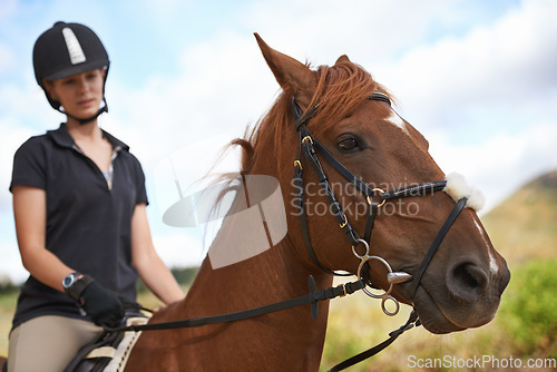 Image of Equestrian, horse and woman riding in nature on adventure and journey in countryside. Ranch, animal and rider outdoor with hobby, sport or travel with pet on farm trail or girl in summer on blue sky