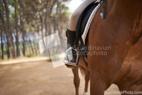 Image of Person, horse and countryside for riding in texas, stirrup and sport training for performance. Farm, rural and nature in outdoor, adventure and animal livestock with jockey, pet care and dirt road