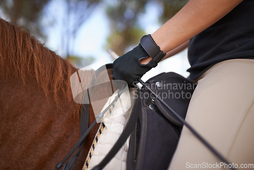 Image of Equestrian, bridle and hands closeup on horse for riding adventure and journey in countryside. Ranch, animal and rider outdoor with hobby, sport or person training a pet on farm in summer environment