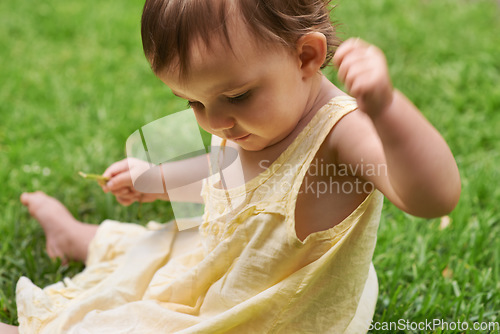 Image of Cute, playing and girl baby on grass having fun in backyard, park or garden for youth. Nature, sweet and kid, infant or toddler sitting on the lawn for child development senses outdoor at home.