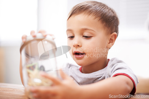 Image of Child, toys and jar for playing for development, growth curiosity and young boy. Kid, animals and game or learning kindergarten for teaching discovery or creativity games, coordination or skill