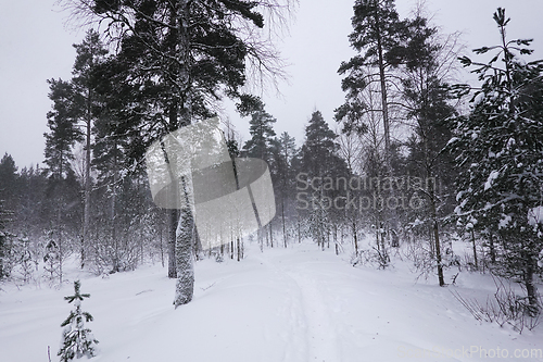 Image of Vinter