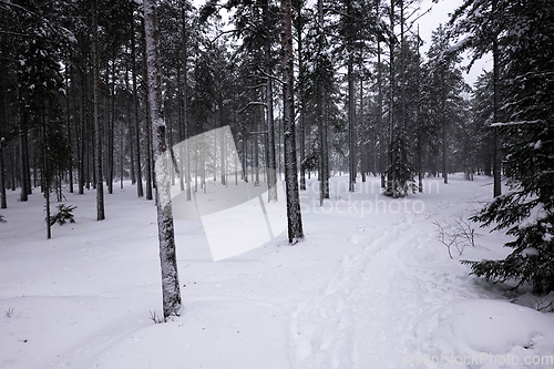 Image of Vinter