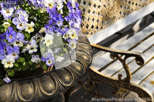 Image of Planter with pansies and bench