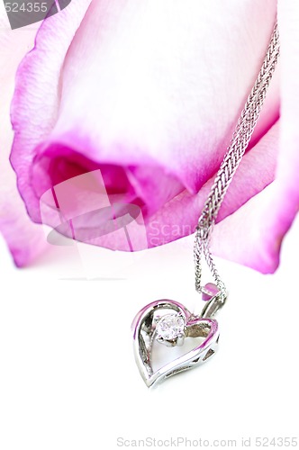 Image of Diamond necklace on rose