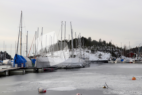 Image of Vinter i Paddehavet