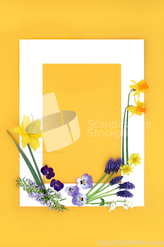 Image of Spring and Easter Flower and Herb Abstract Background Frame