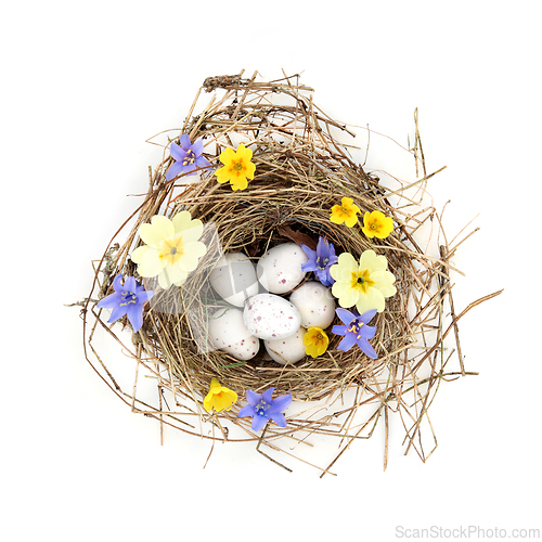 Image of Blue Tit Eggs in Bird Nest with Spring Flowers