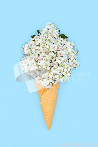 Image of Surreal Hawthorn Blossom Ice Cream Cone