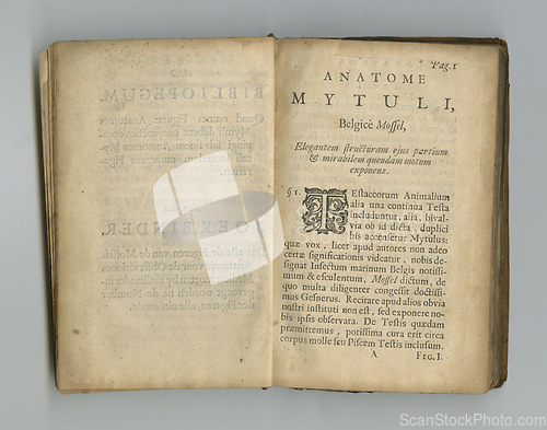 Image of Antique medical page, information and library stamp for authorized knowledge on medicine study, learn or research. Language, pathology and parchment paper for healthcare education literature or books