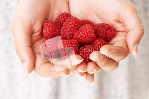 Image of Hands, woman and holding raspberry fruits for detox, vegan diet and eco nutrition of healthy ingredients. Closeup of red berries, organic food and sustainable benefits of vitamin c, wellness and care